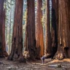 Five Signs Your Nonprofit Needs a CRM Platform