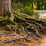Making IT Governance Work for Your Nonprofit