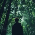 Enhancing ERP Success for Nonprofits, Foundations, and Associations
