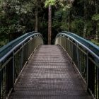 Creating a Technology Adoption Plan